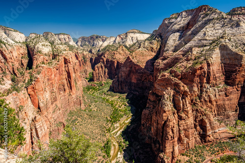 Landscape in Zion National Park