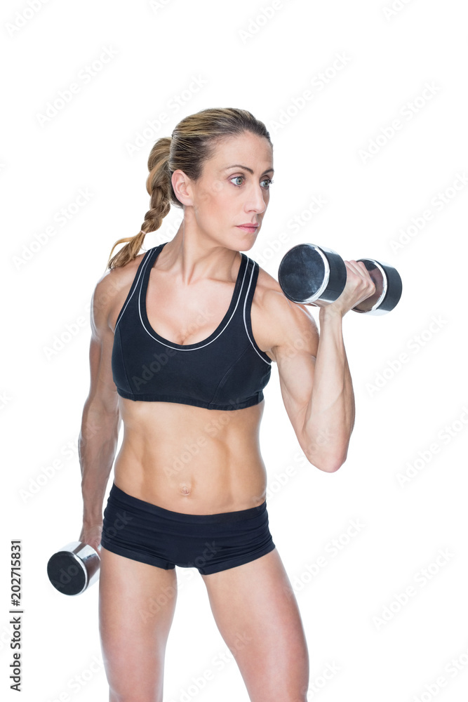 Female bodybuilder working out with large dumbbells Female bodybuilder working out with large dumbbells
