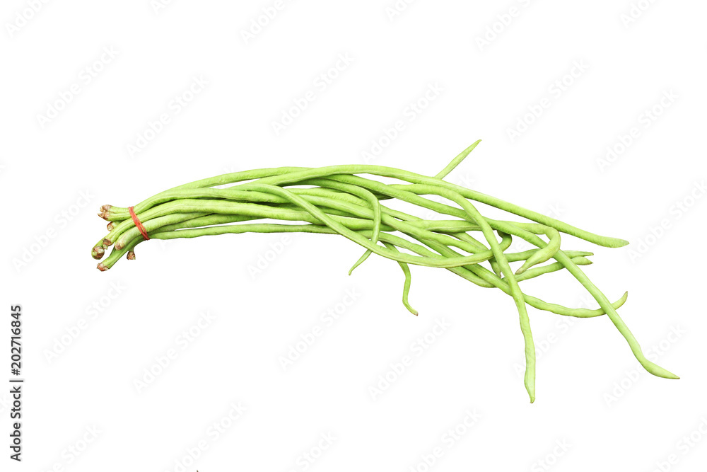 Fresh green yardlong bean isolated on white background Fresh green yardlong bean isolated on white background