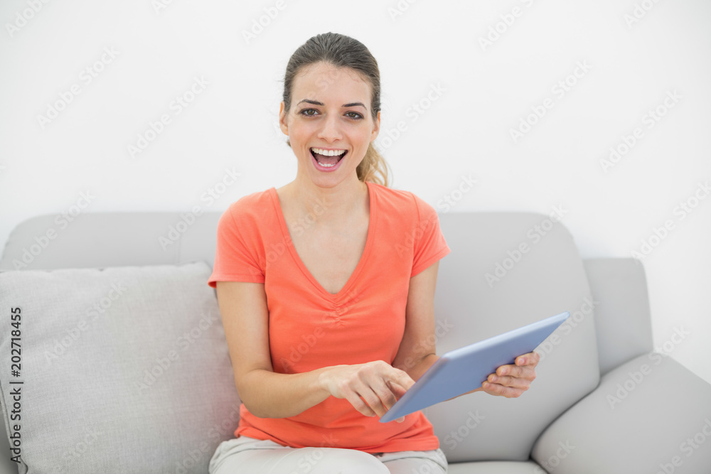 Beautiful casual woman using her tablet looking cheerfully at camera Beautiful casual woman using her tablet looking cheerfully at camera