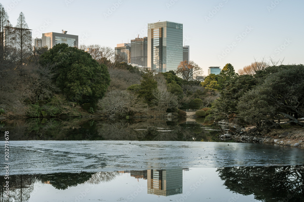Φωτογραφία 都会の冬の公園　凍った池１