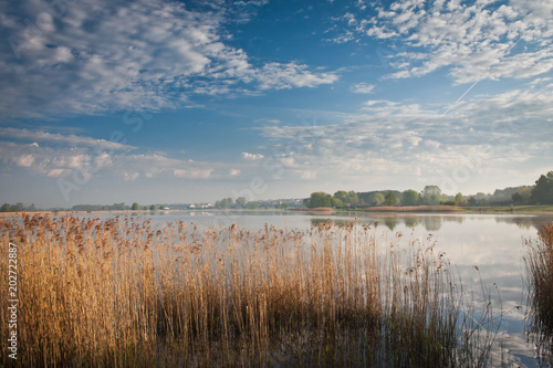 Wiosenny poranek nad jeziorem