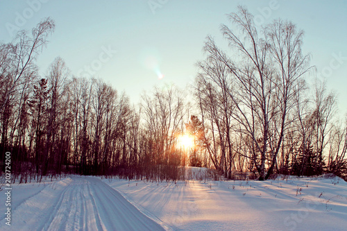 Winter landscape - frosty trees in snowy forest. Road in a wonderful winter forest