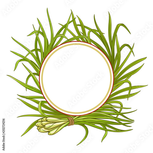 lemongrass  plant vector frame