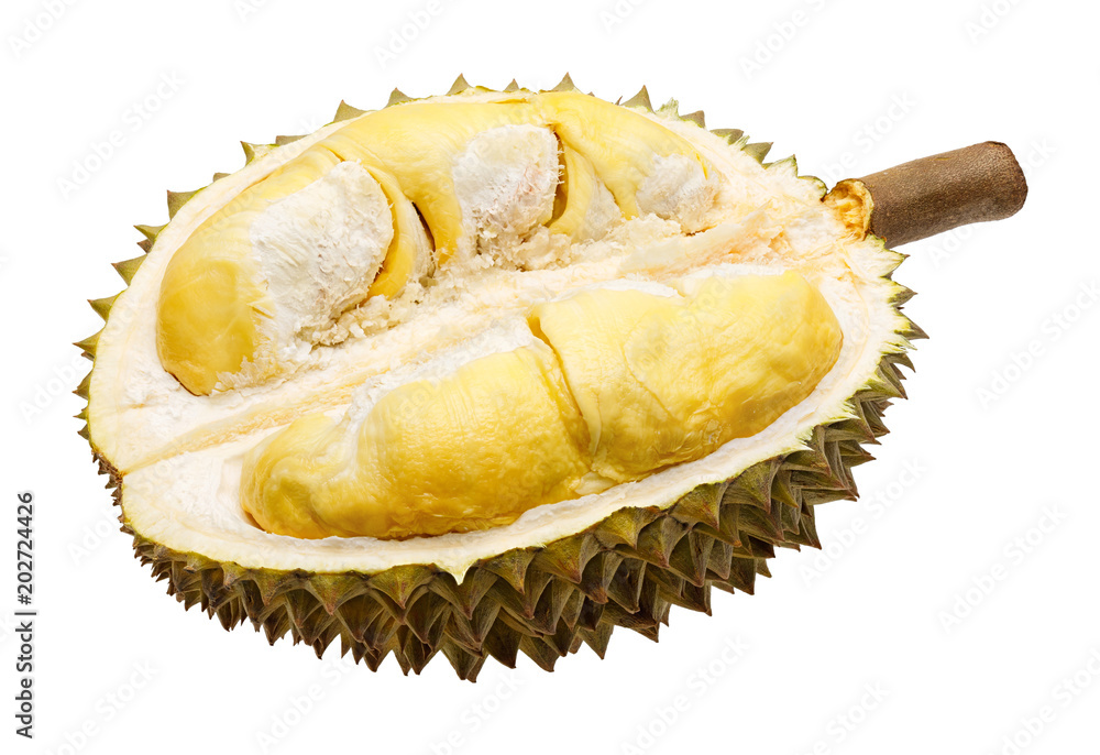 Obraz premium Durian fruit portion isolated