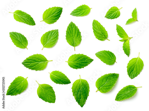 fresh peppermint leaves isolated on white, top view