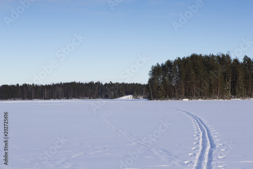 Wallpaper Mural Ski tracks on the lake ice during sunset in Finland. Skiing in silence, no people. Copy space. Torontodigital.ca