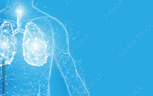 Human lungs anatomy form lines and triangles, point connecting network on blue background. Illustration vector photo
