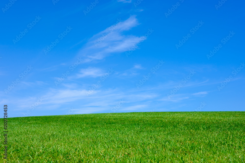 Image of green grass field and bright blue sky Image of green grass field and bright blue sky