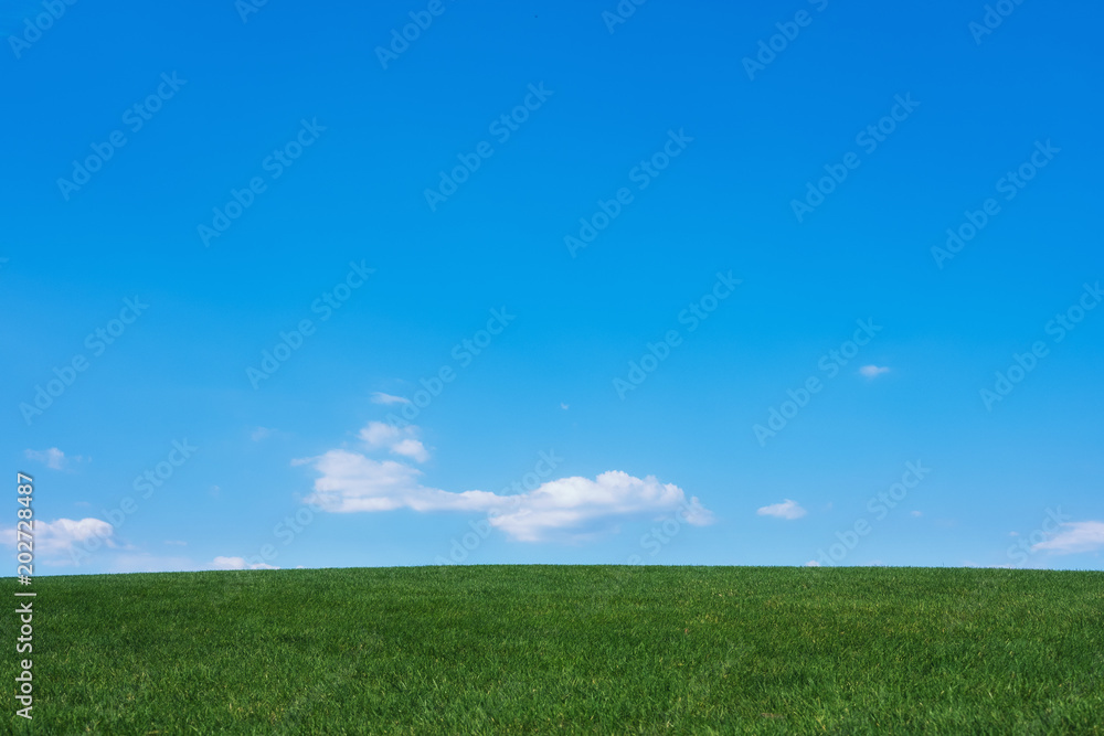 Image of green grass field and bright blue sky Image of green grass field and bright blue sky