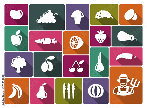 Vegetables and fruit icons