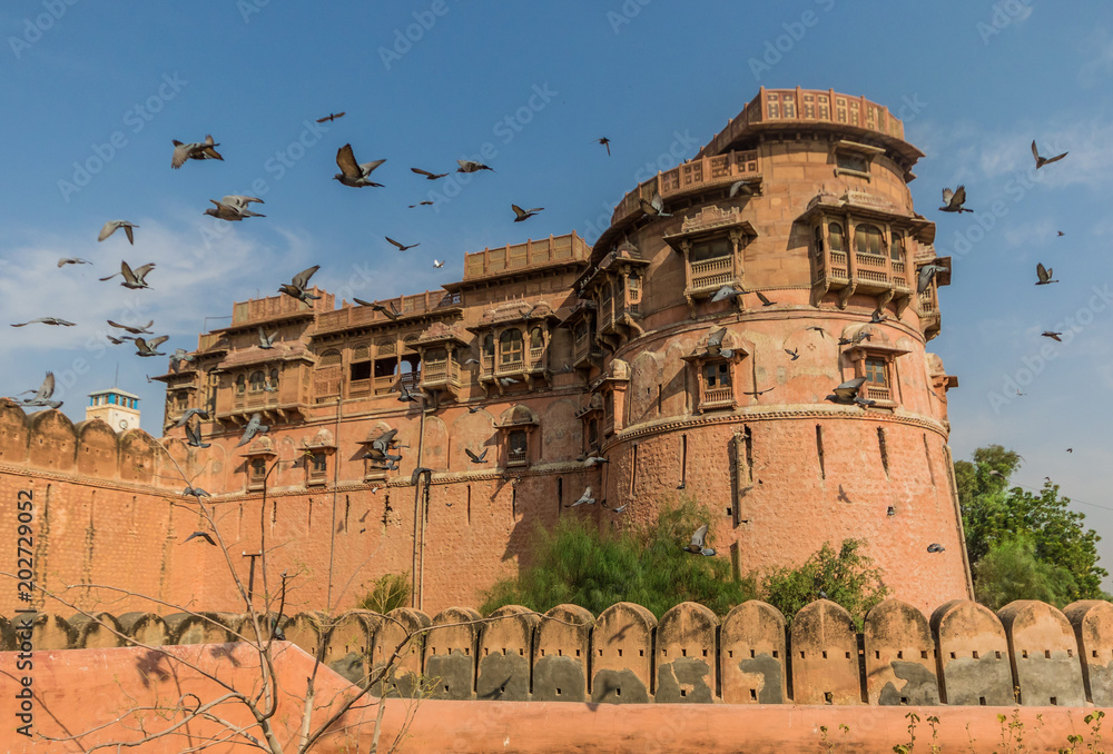 Φωτογραφία Rajasthan, India - between New Delhi and Pakistan, a desertic region famous of i
