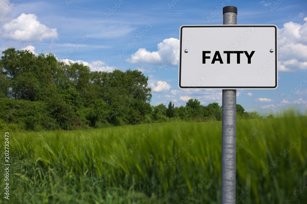 FATTY - image with words associated with the topic NUTRITION, word, image, illustration FATTY - image with words associated with the topic NUTRITION, word, image, illustration