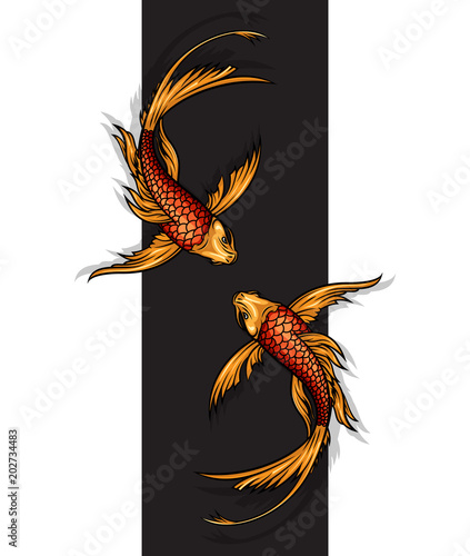 Koi carps on black wide line vector illustration. Luxury banner design with koi carps. Good for posters, logos, prints, business cards. 