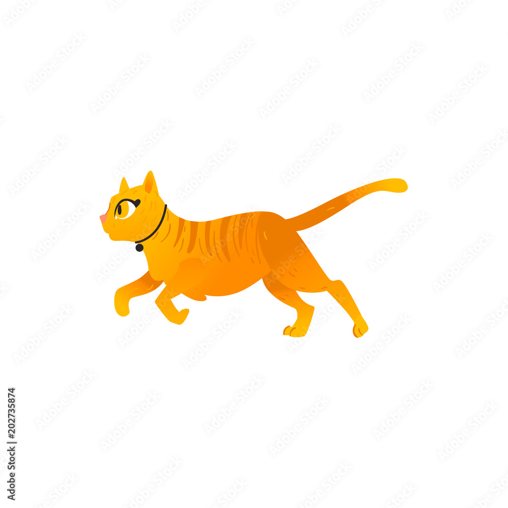 Cartoon cute orange cat in collar animal running cheerfully. Funny hand drawn kitten pet. Domestic adorable feline kitty character. Children design element. Vector flat illustration isolated. Cartoon cute orange cat in collar animal running cheerfully. Funny hand drawn kitten pet. Domestic adorable feline kitty character. Children design element. Vector flat illustration isolated.