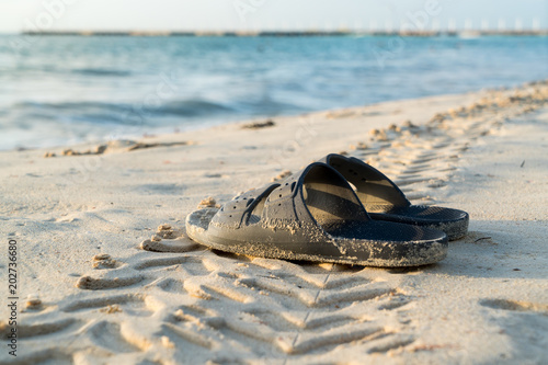 Flops lying on exotic beach