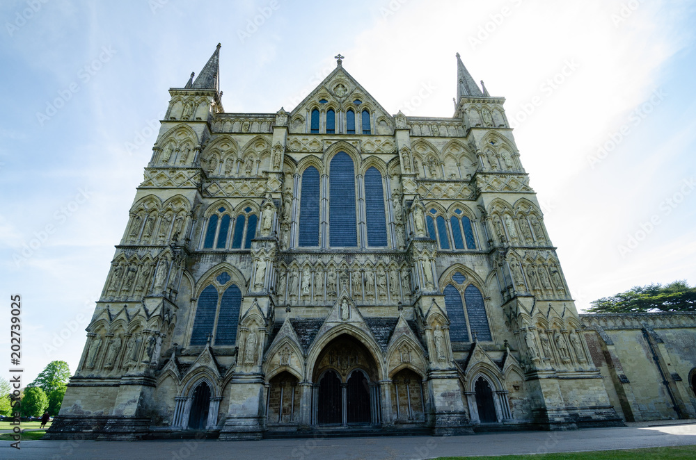 Salisbury Cathedral, In Spring Season, Salisbury, England