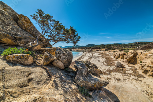 Rocks and plants in Santa Giusta beach © Gabriele Maltinti