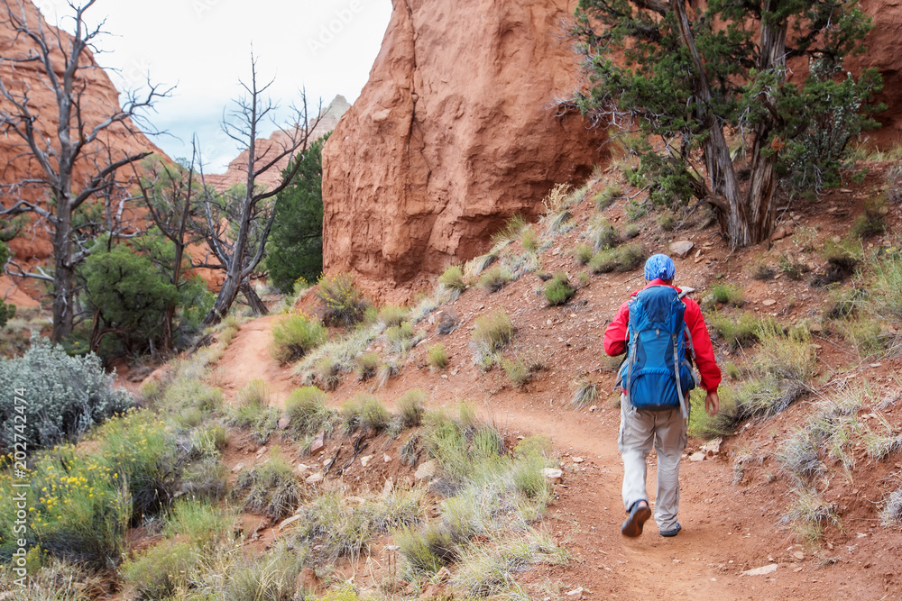 Hiker in Kodachrome Basin state park in Utah, USA