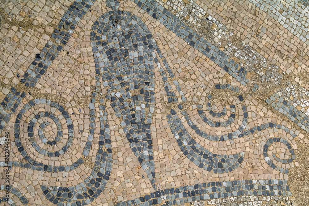 Mosaic fragment at Dion Archaeological Park. Pieria. Greece. Mosaic fragment at Dion Archaeological Park. Pieria. Greece.