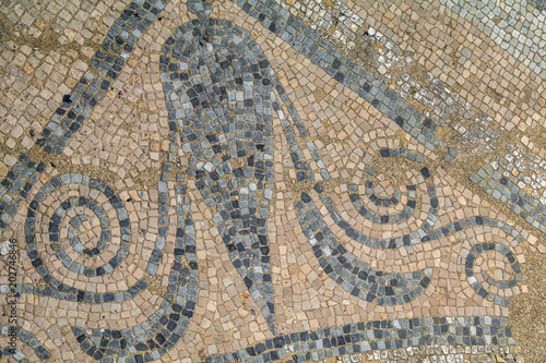 Mosaic fragment at Dion Archaeological Park. Pieria. Greece.