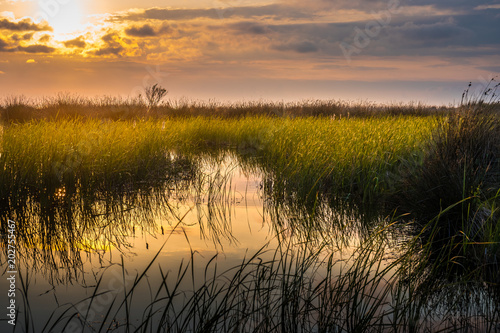 swampy place at sunset, national park of the Kolkheti © k_samurkas