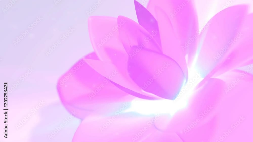 Pink Flower Background Pink Flower Background