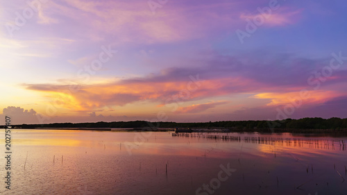 Beautiful twilight in mangrove forest area , Bang Pakong District, Chachoengsao ,Thailand