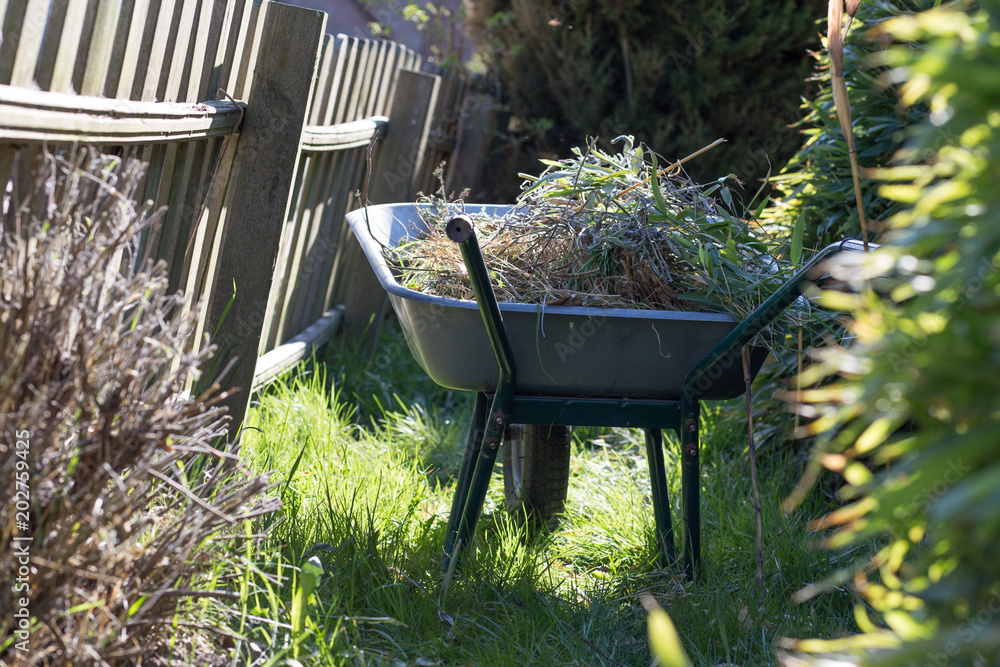 Gartenpflege mit Hilfe von einer Schubkarre Gartenpflege mit Hilfe von einer Schubkarre