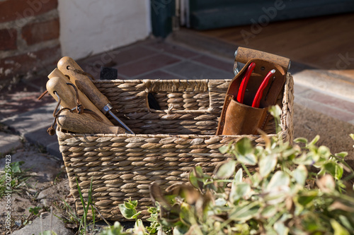 Gartenscheere im Korb photo