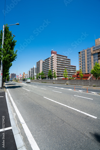 Fototapeta Naklejka Na Ścianę i Meble -  緑地公園　周辺