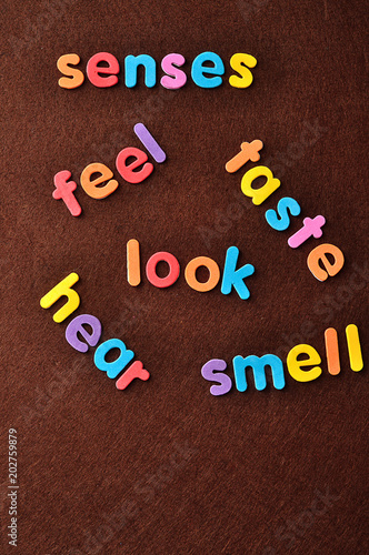 The words senses, feel, taste, look, hear and smell on a brown background
