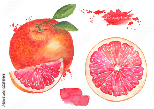 Obraz na plátně Grapefruit with leaf and grapefruit slice watercolor illustration on an isolated