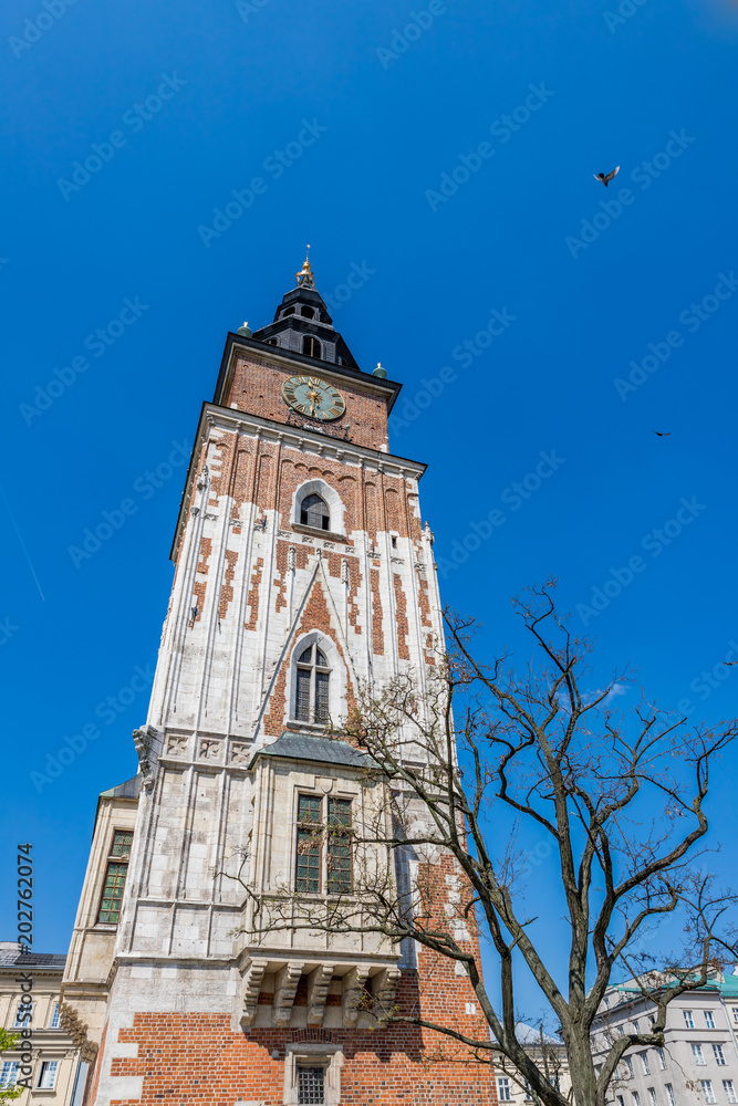 Tour de l'Hôtel de Ville et Place Rynek Głowny à Cracovie
