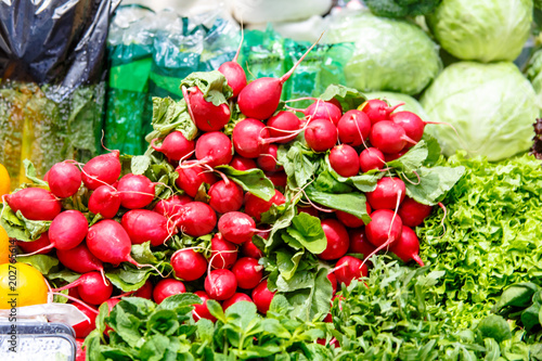 Beams of fresh red radish are on the market.