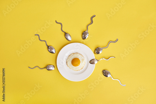 Fotografía Conception of fertilization. Fried egg in white plate, and spoon