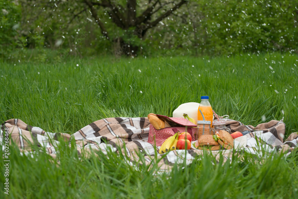 Plaid, hat, glasses, book, senvichi, juice and fruit with a basket on a plaid on the green grass. The concept of a picnic, summer and rest. Plaid, hat, glasses, book, senvichi, juice and fruit with a basket on a plaid on the green grass. The concept of a picnic, summer and rest.