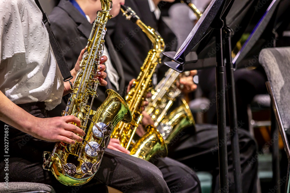 Obraz premium Band and Orchestra young people