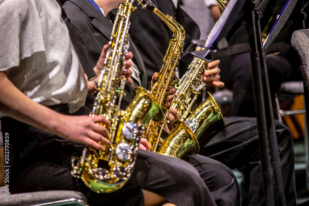 Obraz premium Band and Orchestra young people
