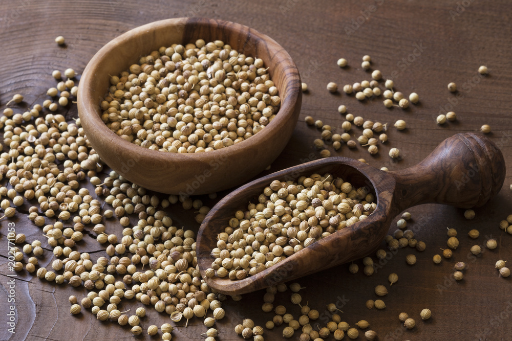 Fototapeta premium Coriander seed