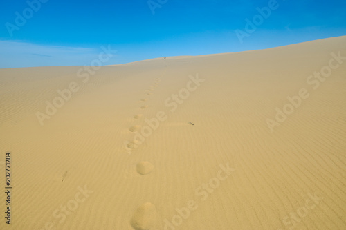 Footsteps on the dunes of Pyla, France