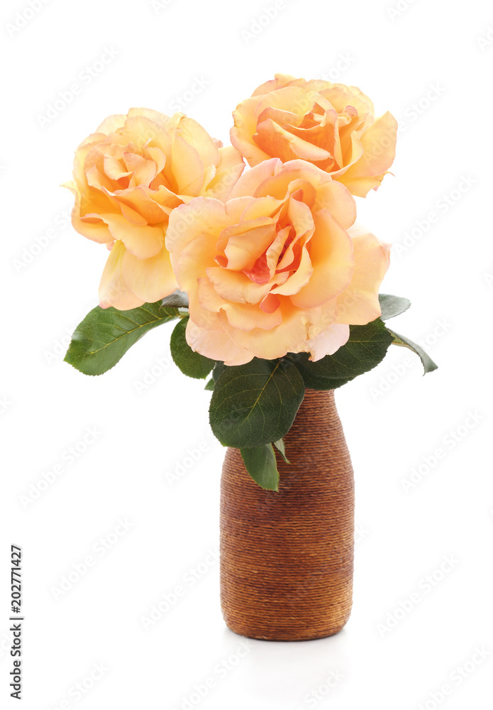 Orange roses in a vase.