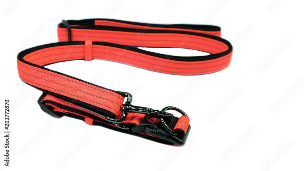 Pet accessories concept. Orange pet leashes on isolated white background.