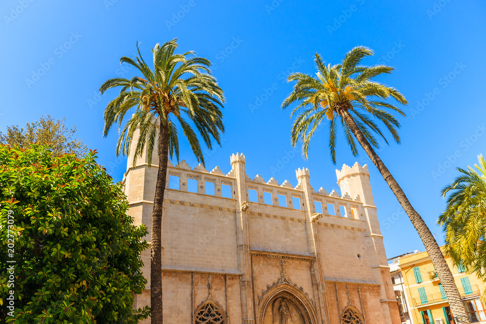 Gate and palm tree of historic building in old town of Palma de Majorca, Spain