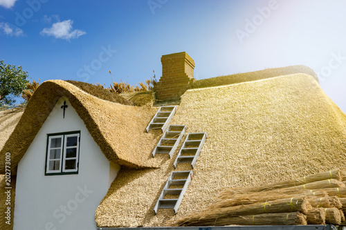 Nordfriesland - Reetdächer, Haus wird mit Reet neu eingedeckt photo