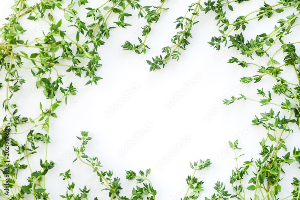 Overhead view of thyme leaves and twigs arranged in frame form with text space on white background Overhead view of thyme leaves and twigs arranged in frame form with text space on white background
