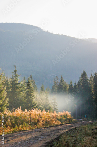 Rays of early sunlight are illuminated through the trees on a dirt road.