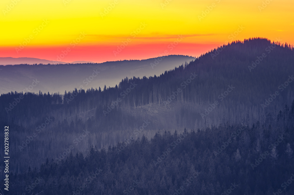 Moments before sunrise in misty Carpathian mountains, Poland