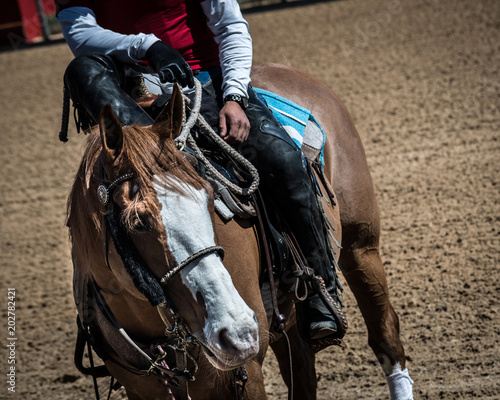 RIDER RELAXING ON HORSE BACK AT THE TRACK