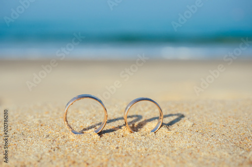 wedding rings on the background of the sea. concept of a wedding ceremony on the beach